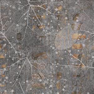 Wallpapers  Duvar Kağıtları C1492