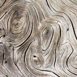 Wooden - Trees  Ahşap - Ağaçlar F1352