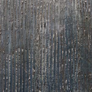 Wallpapers  Duvar Kağıtları F1472